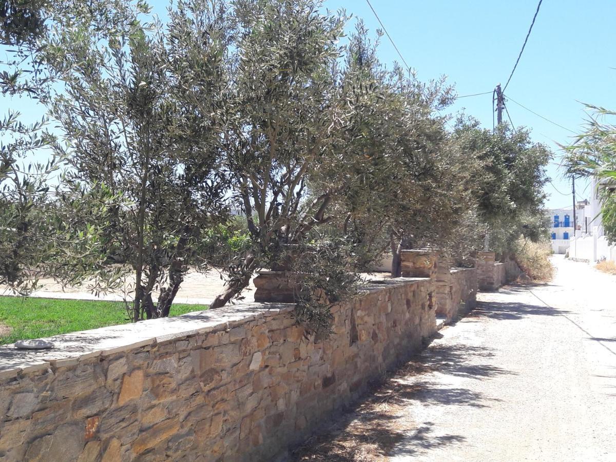 Elpidas Studios Agia Anna  Екстериор снимка